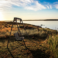 在线轰炸电话网页版免费测试