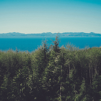 免费短信呼死你2023