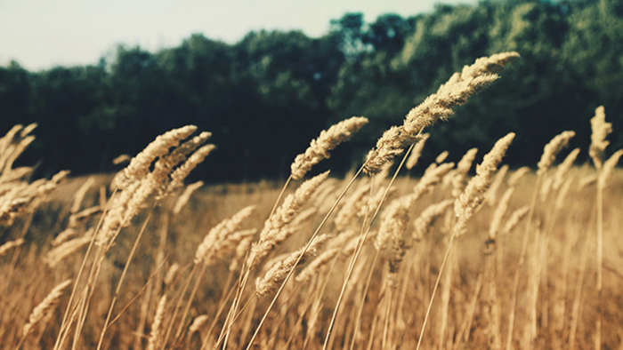 在线短信压力测试