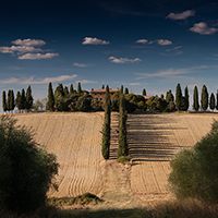 用心为您着想的电话测压在线平台